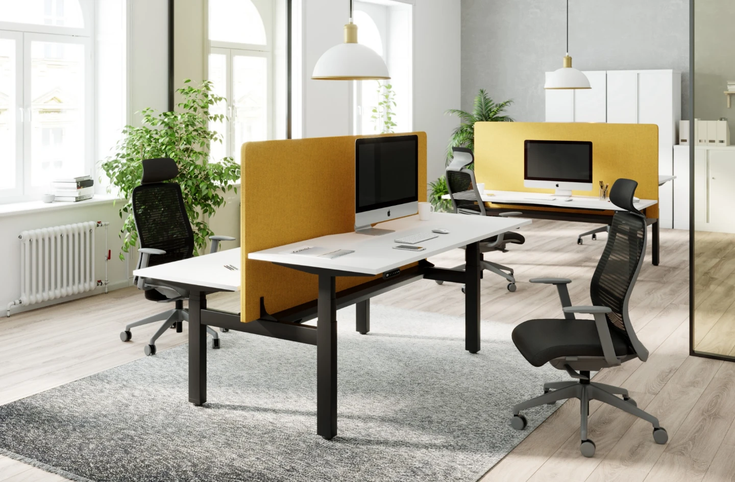 🇨🇦  Height adjustable desk