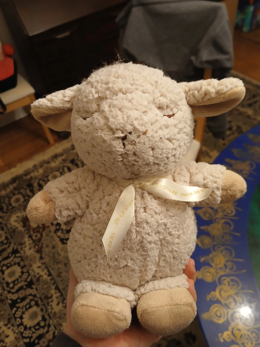 Travel Sleep Sheep