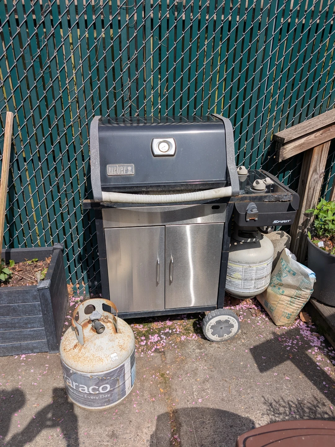 Weber Spirit II Grill