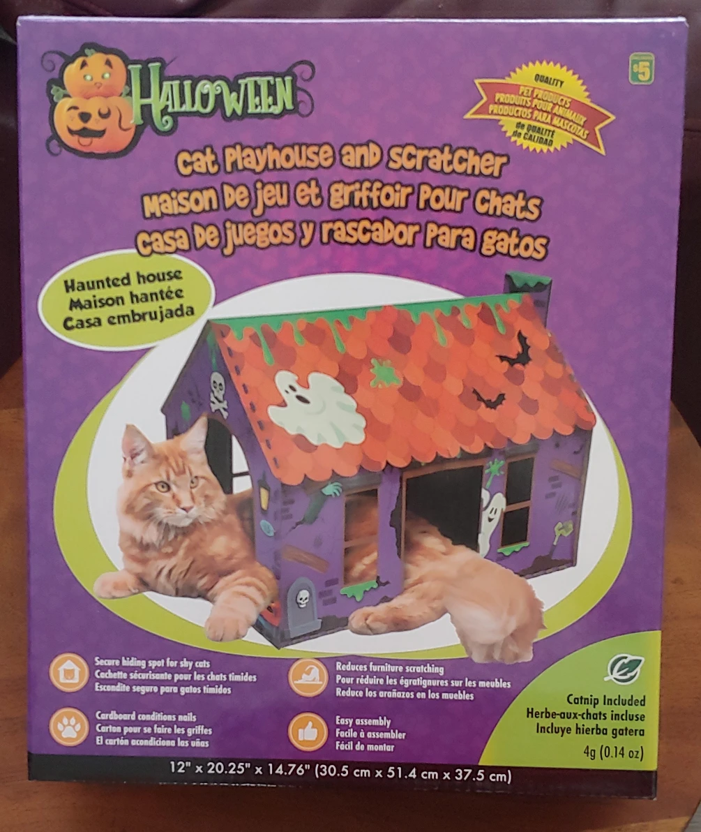Halloween cat scratcher and house