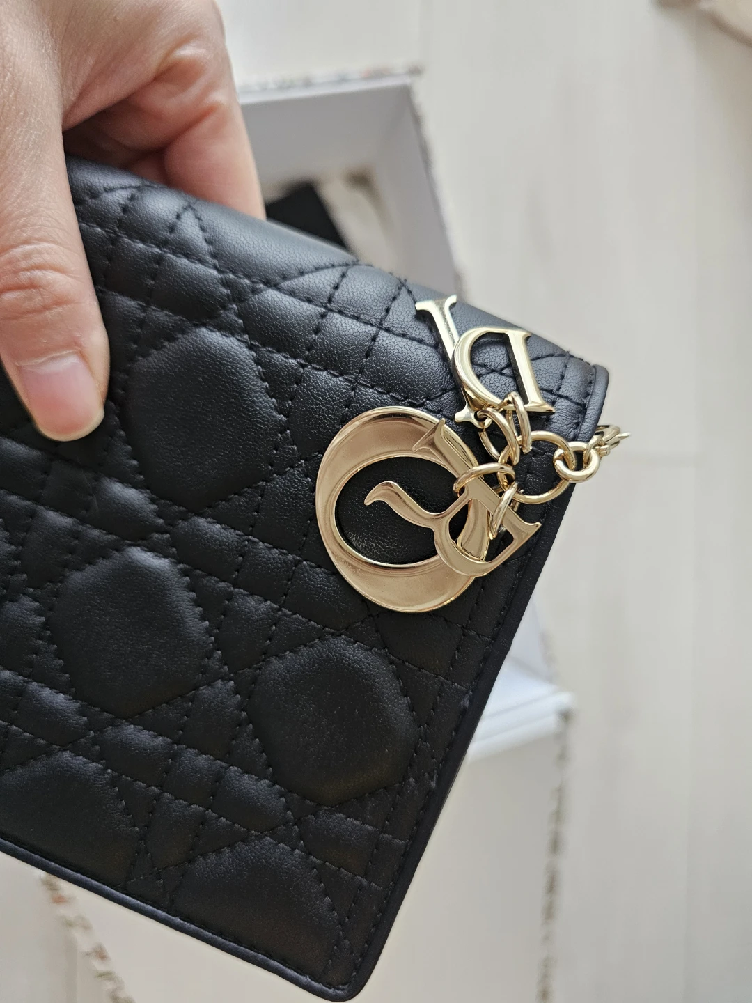 Dior Black Pouch Bag - photo 4