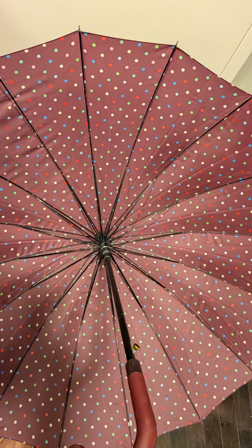 TopRain Solid Quality, Windproof polka dot umbrella - photo 3