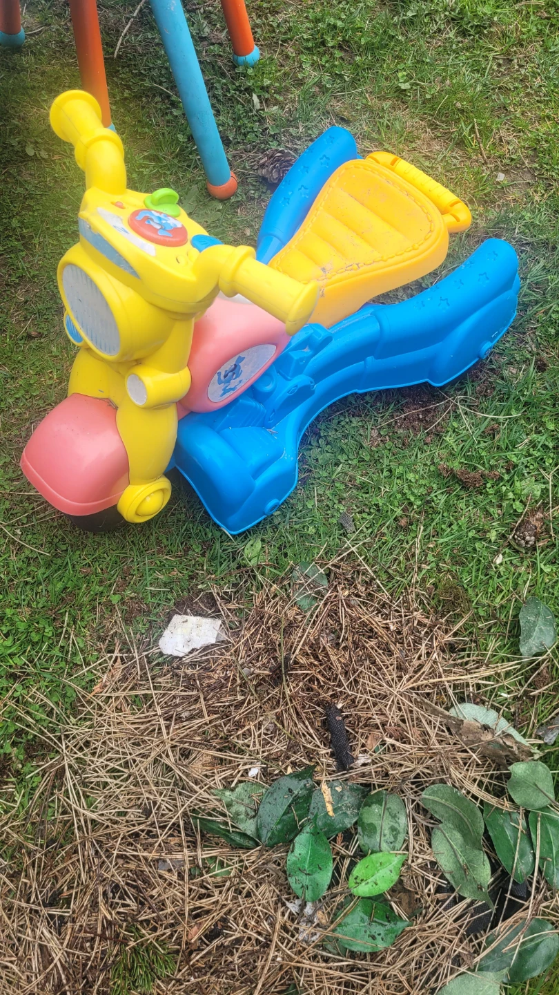 🌱  Ride-On Toy Motorcycle - photo 2