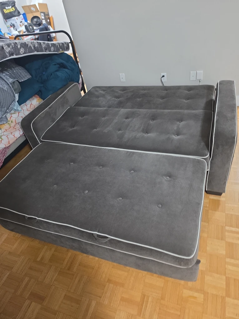 Serta Queen Sofa Bed