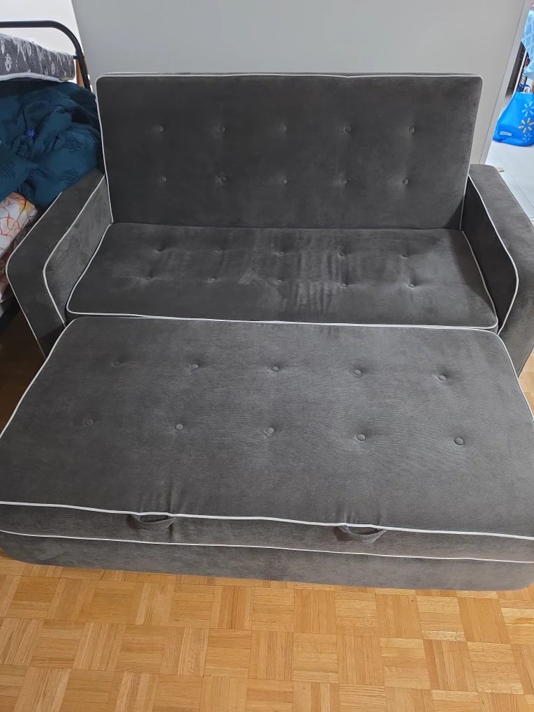 Serta Queen Sofa Bed - photo 3