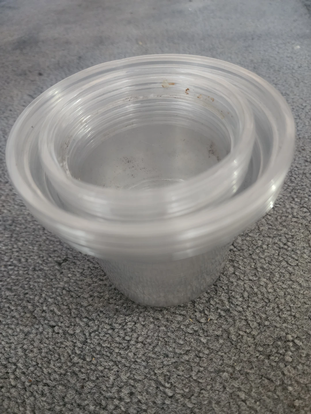 Clear planters with drainage holes