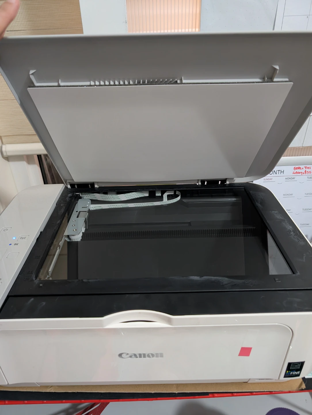 Canon MG3620 printer (Moving Sale) - photo 3
