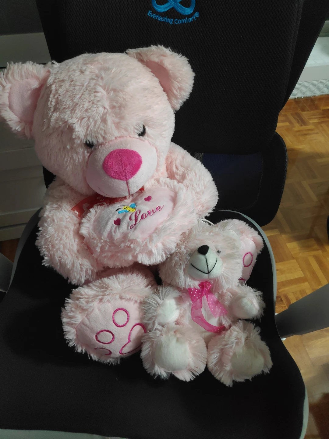 2 Pink Teddy Bears