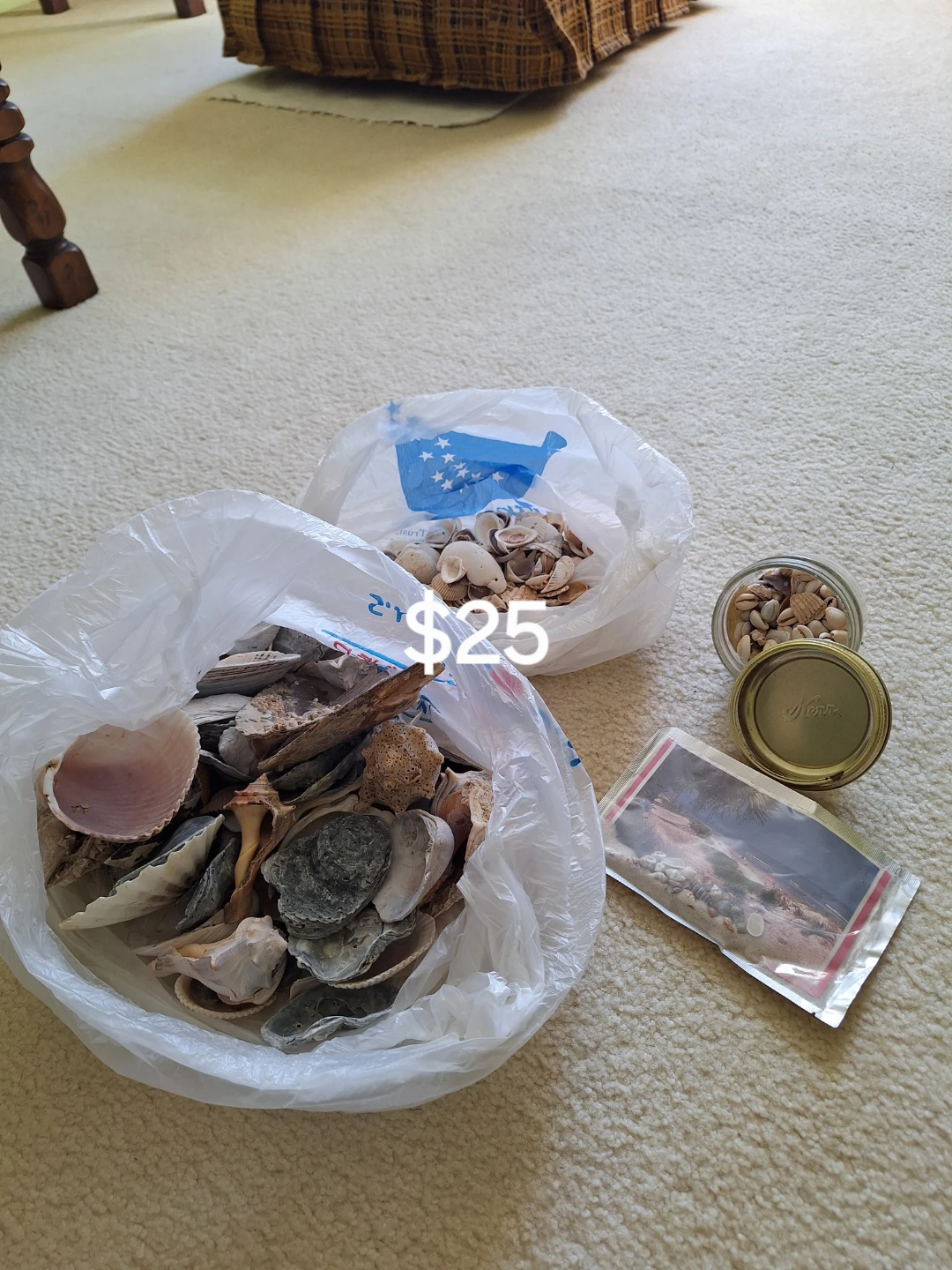 Seashells from Around The World