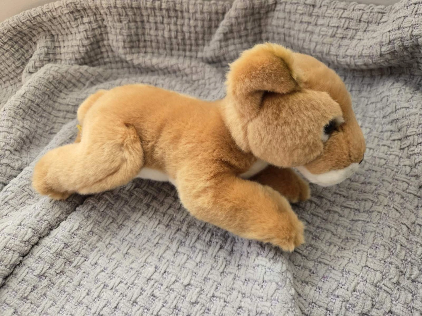 Miyoni by Aurora Plush Lion Cub Stuffed Animal - photo 2