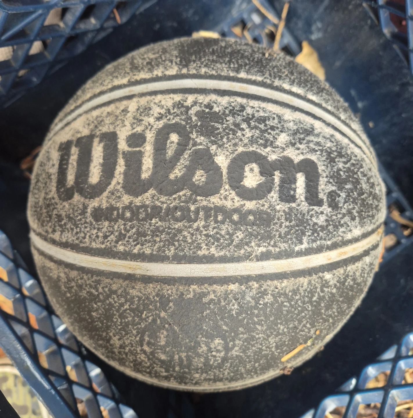 Wilson Indoor/Outdoor Basketball