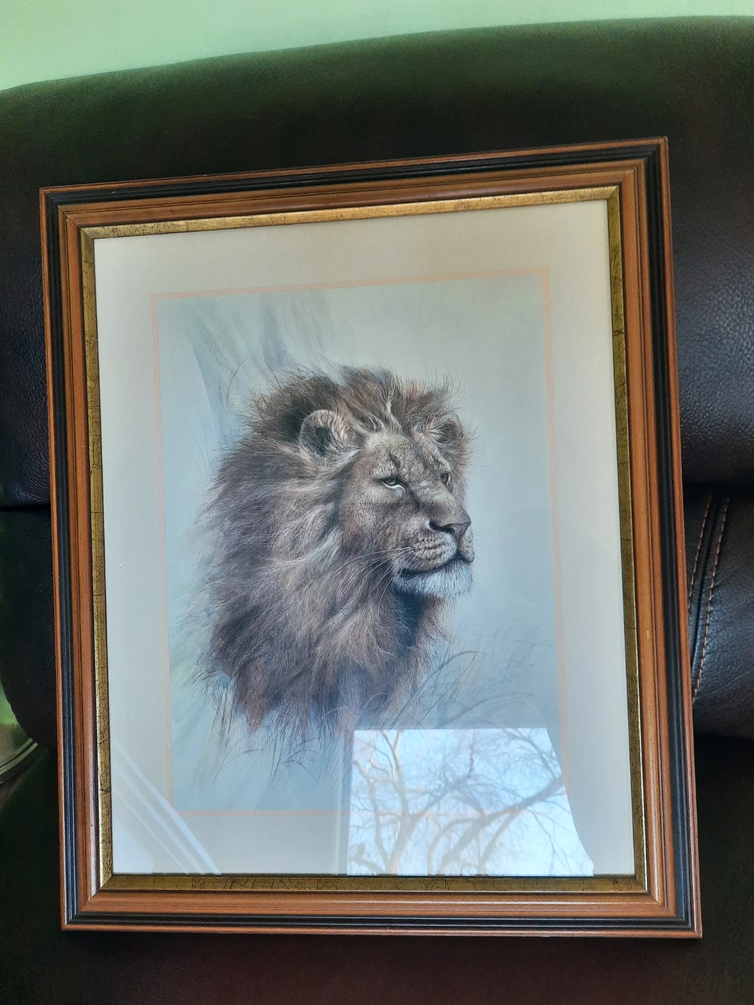 Framed Lion Print by Rose Maureen - photo 5