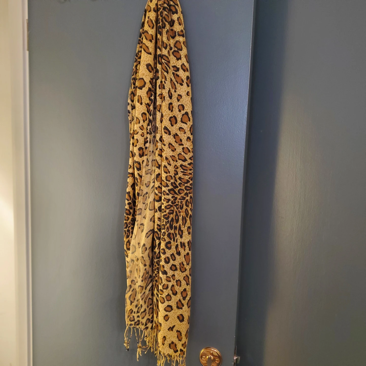 Leopard Print Scarf with Fringe