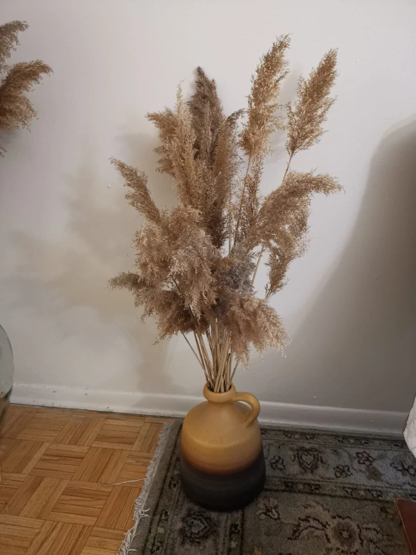 Decorative Dried Pampas Grass in Ceramic Vase - photo 2