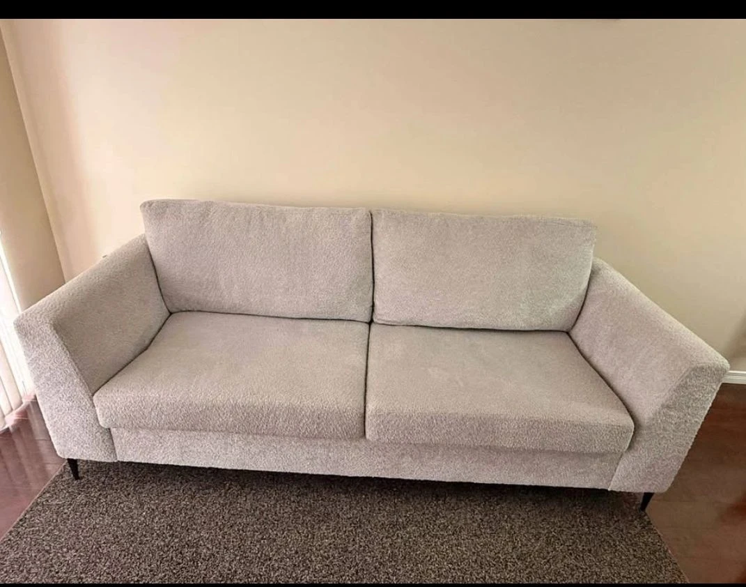 Light Grey Modern Sofa (Cozhaven Hamilton Series) - Moving Sale!