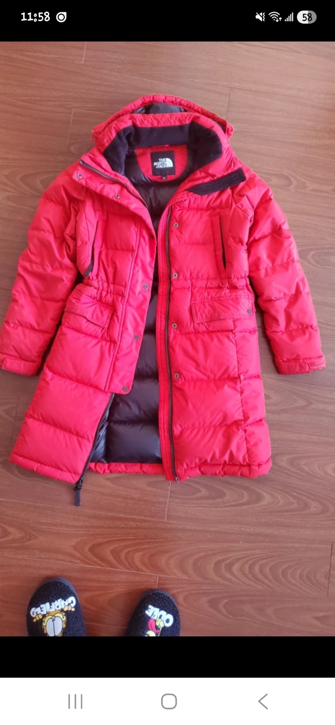 The North Face Down Puffer Jacket