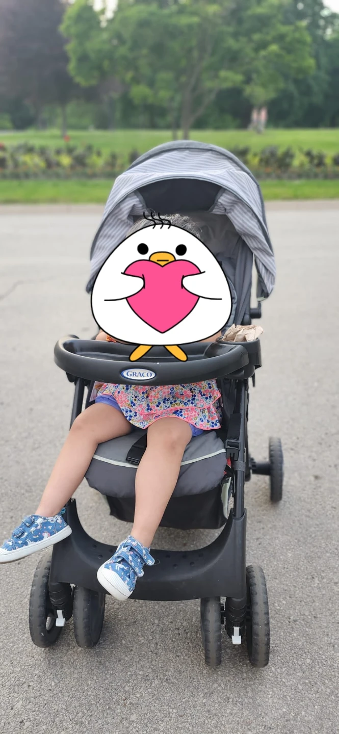 Graco Comfy stroller - photo 2