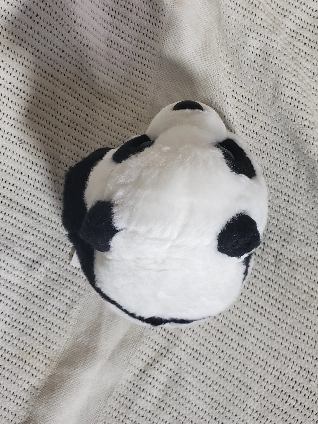 Medium Sized Stuffed Animal - Black and White Panda - photo 4