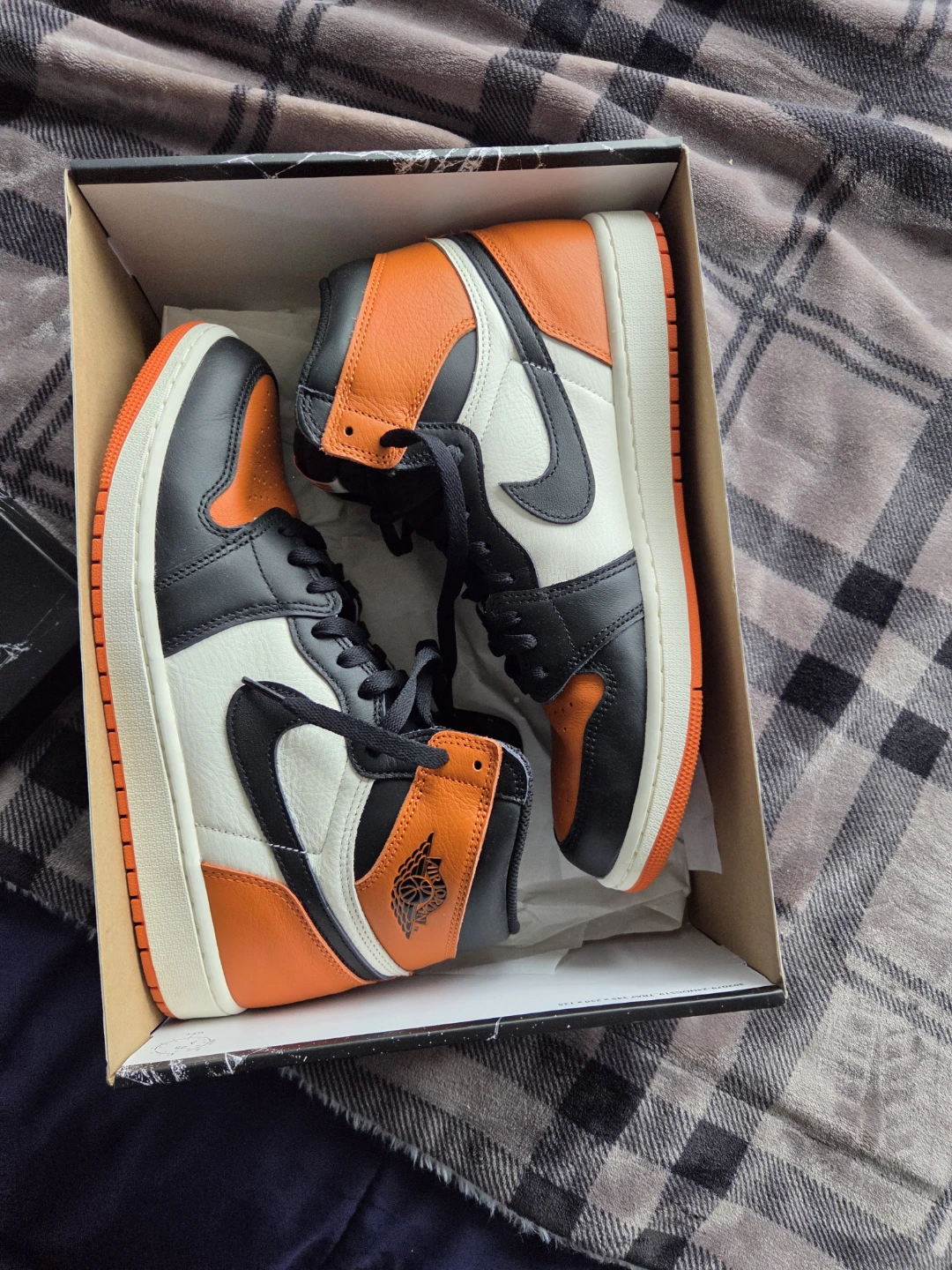 Nike Air Jordan 1 High OG "Shattered Backboard"