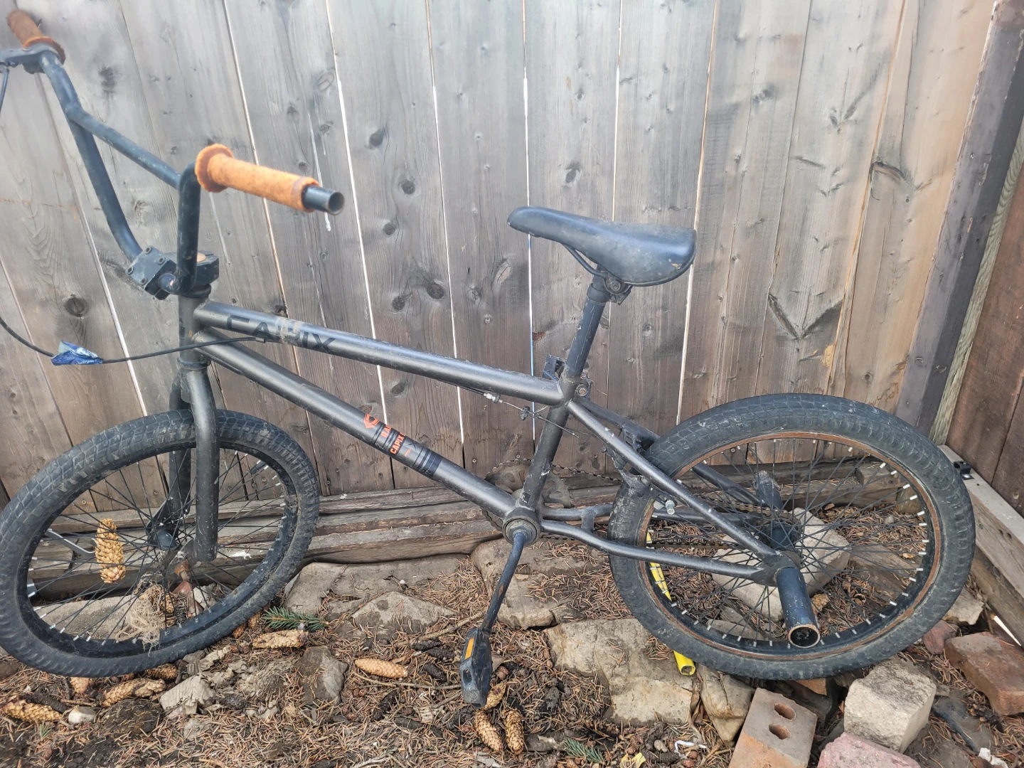 Teenager CAPiX BMX Bike