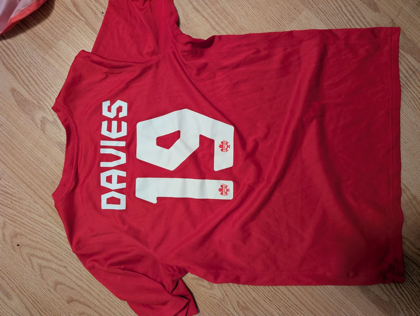 World Cup 2022 Alphonse Davies