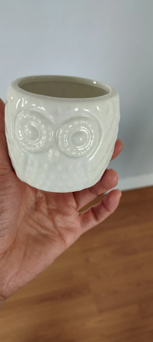 White Ceramic Owl Planter Pot - Set of 3