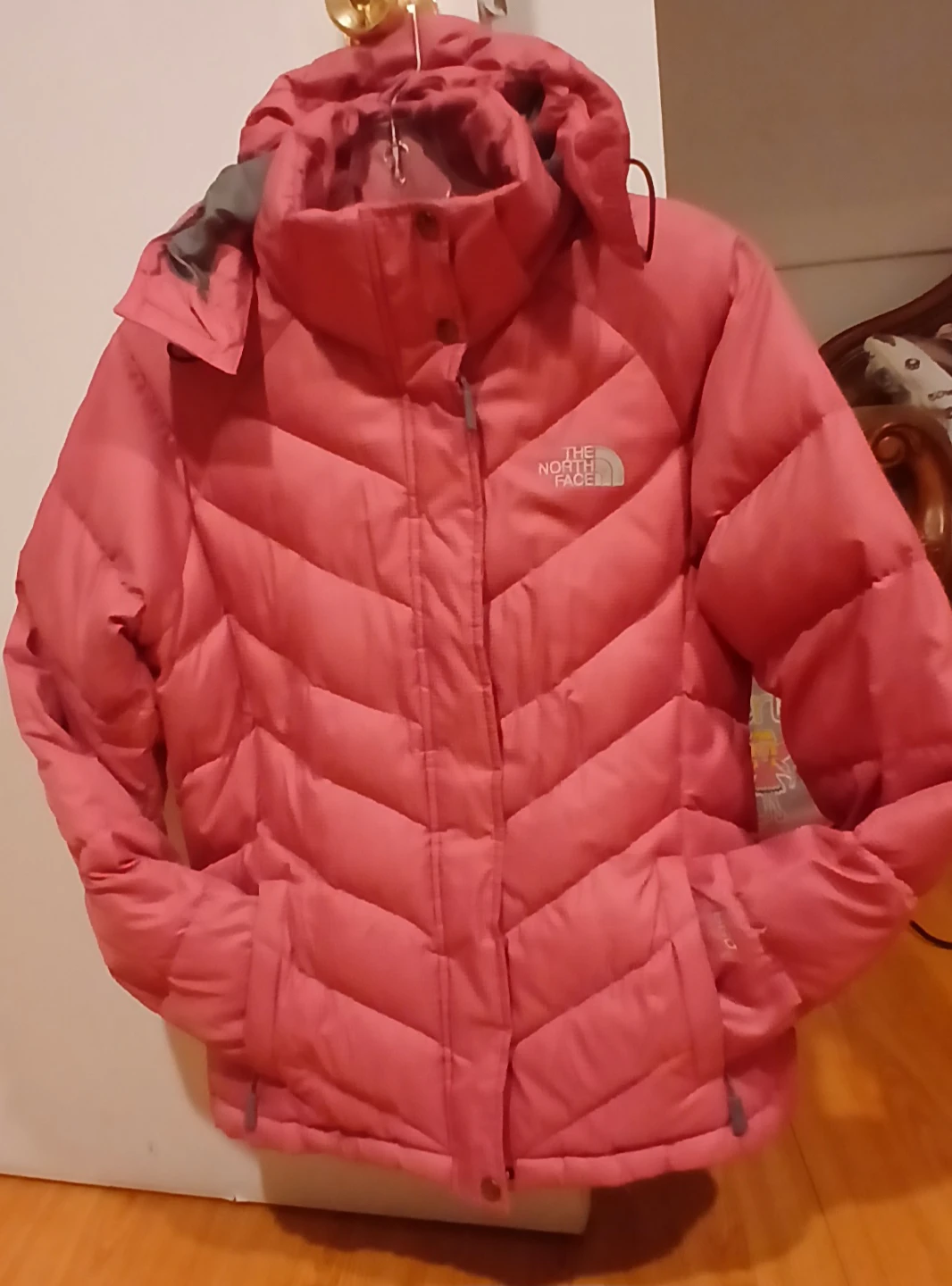 The North Face Down Puffer Jacket