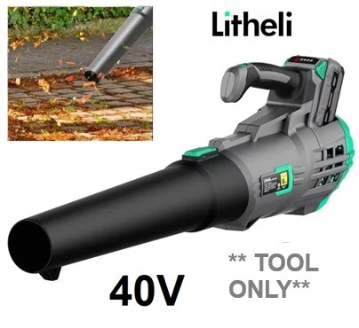 New Litheli Leaf Blower 🍃💨