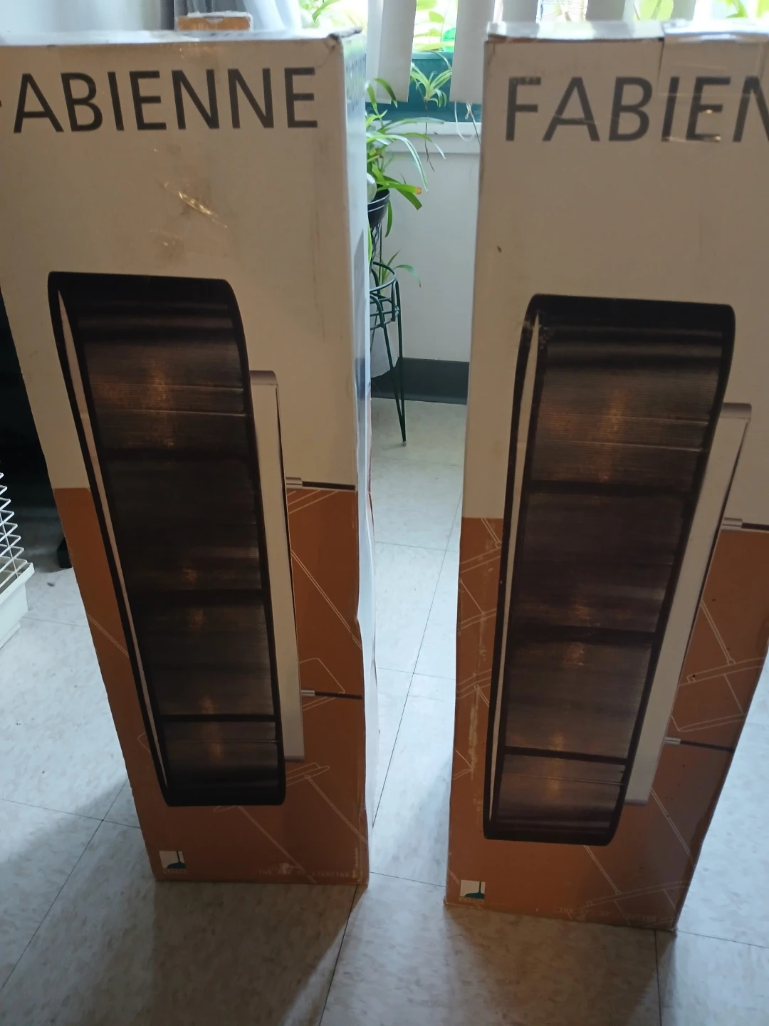 2 Fabienne light fixtures