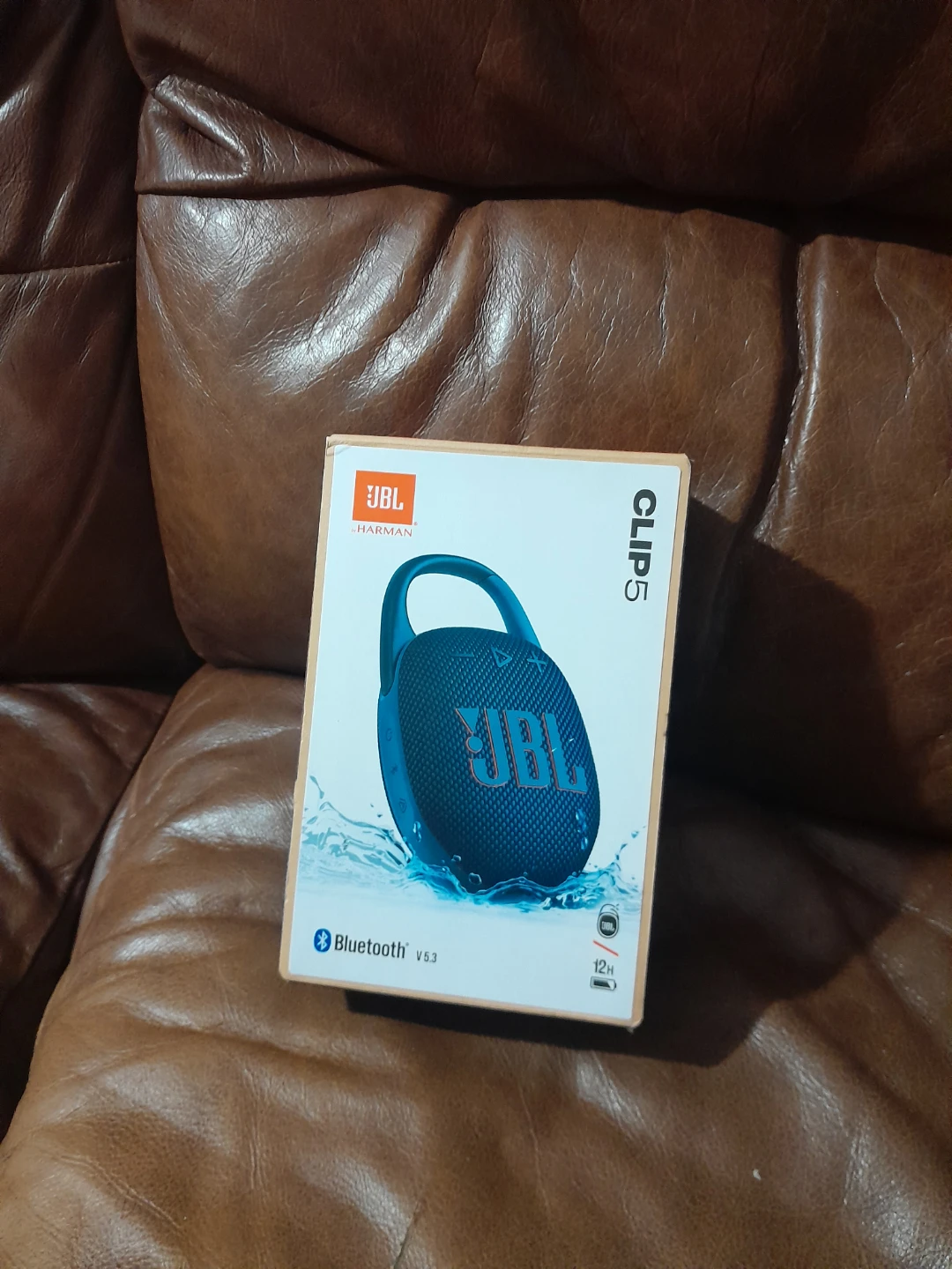 JBL Clip 5 Portable Waterproof Speaker