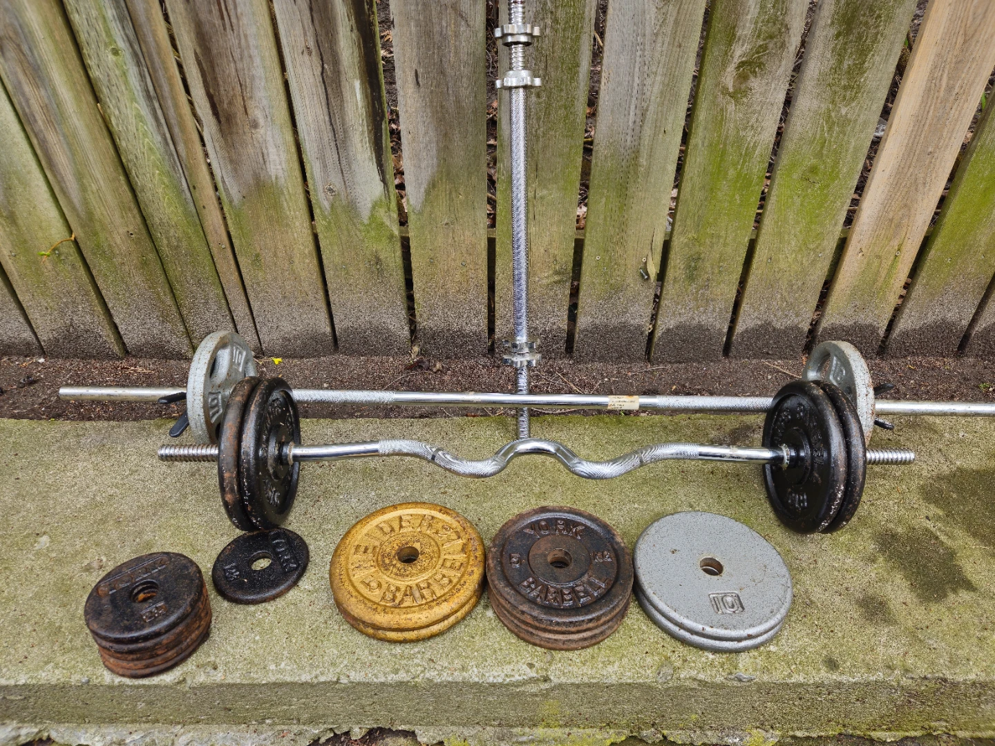 Weight Set with Barbells and Plates