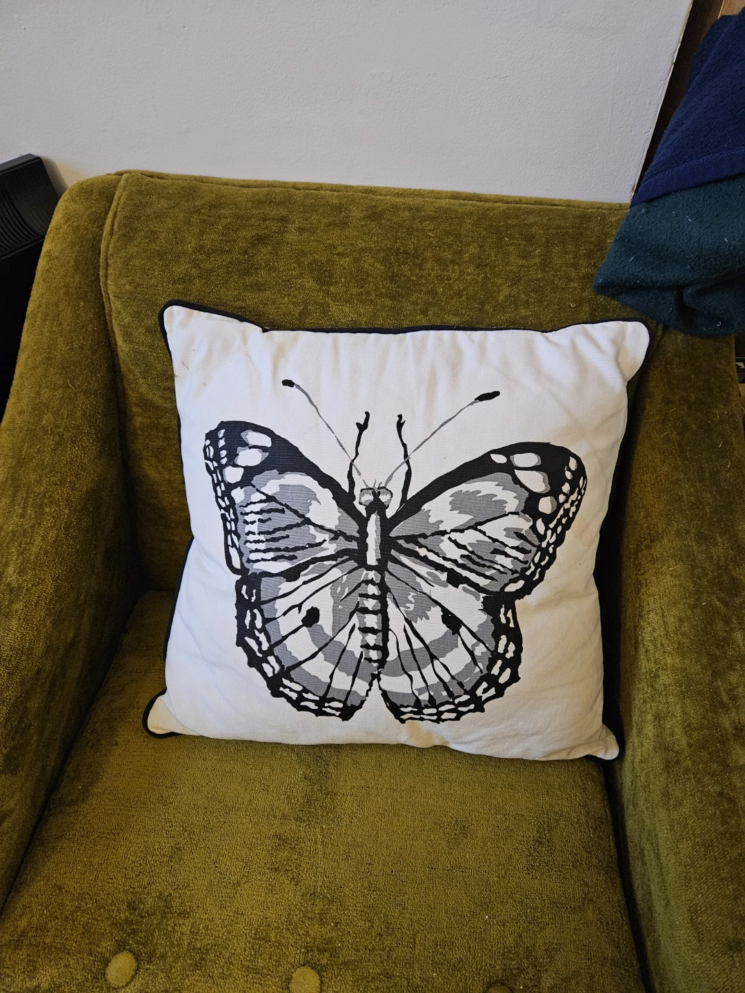 Decorative Throw Pillows - photo 3
