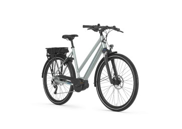 Gazelle Electric Bike