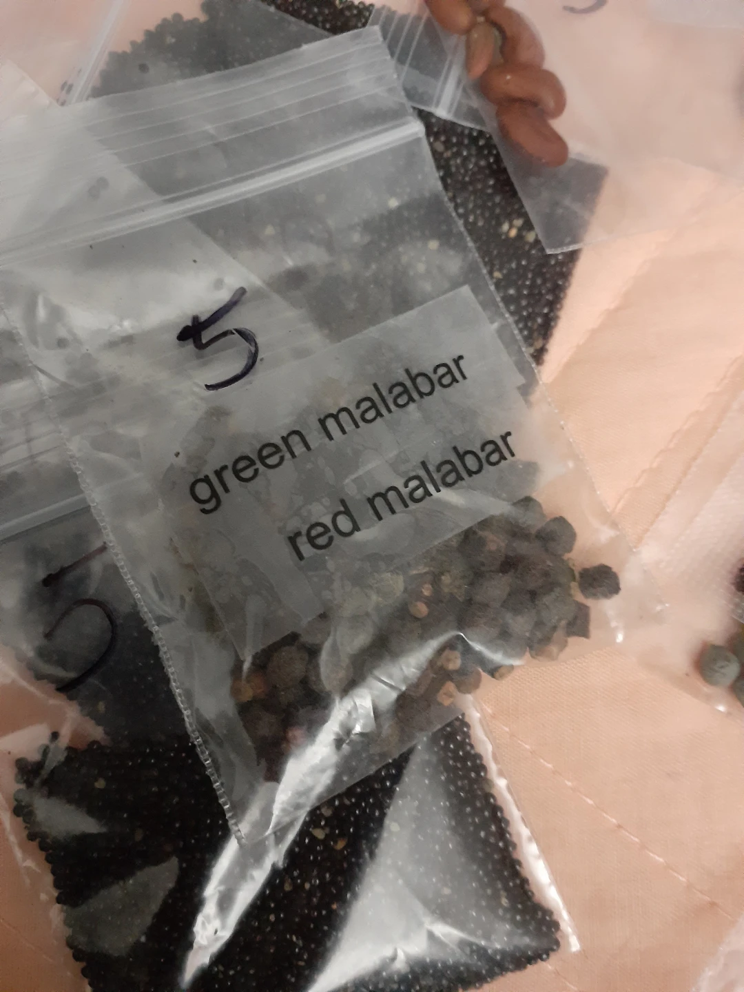 Vegetables seeds - photo 2