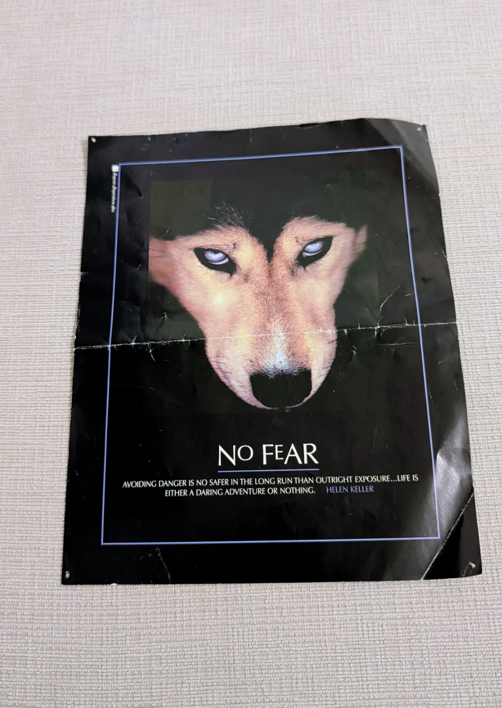 No Fear Poster