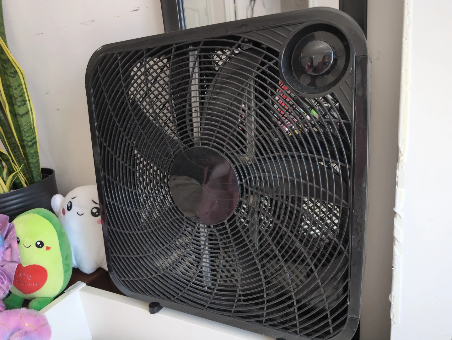 Black Box Fan