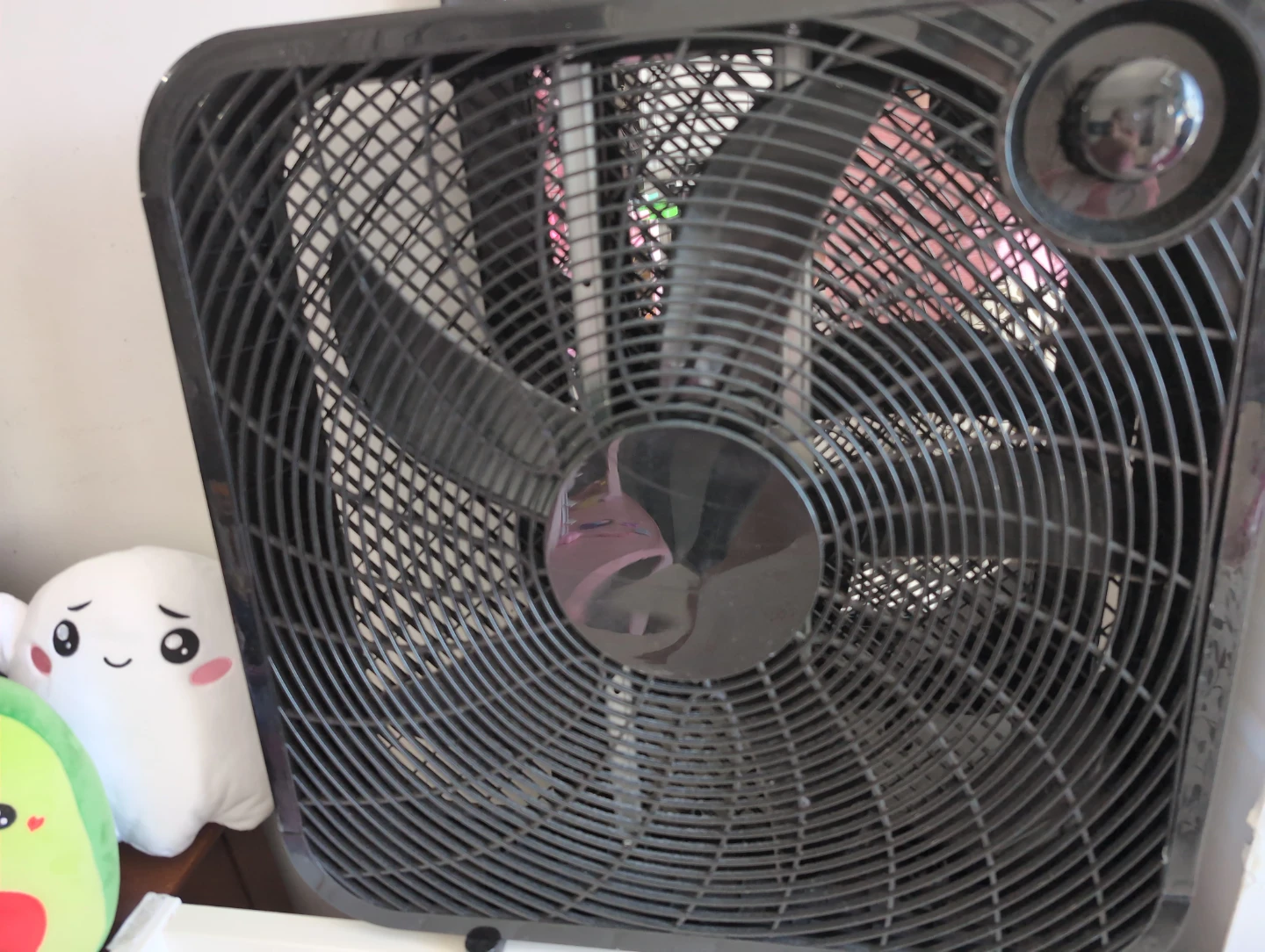 Black Box Fan - photo 2