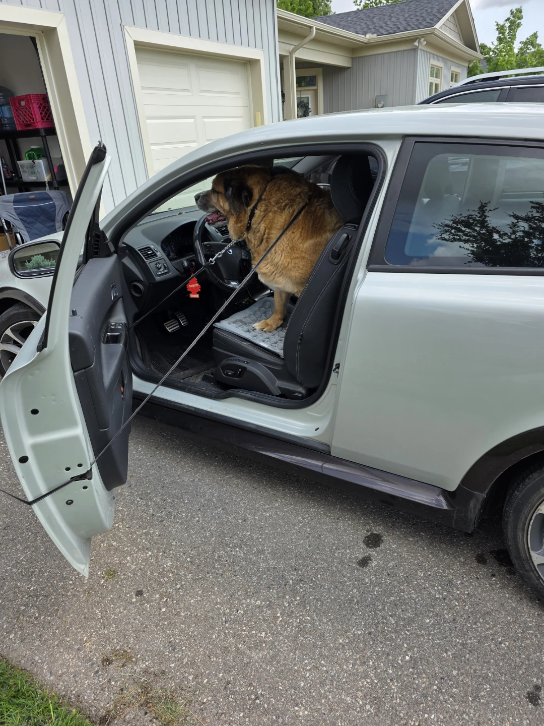 2009 Volvo C30 R-Design - photo 2