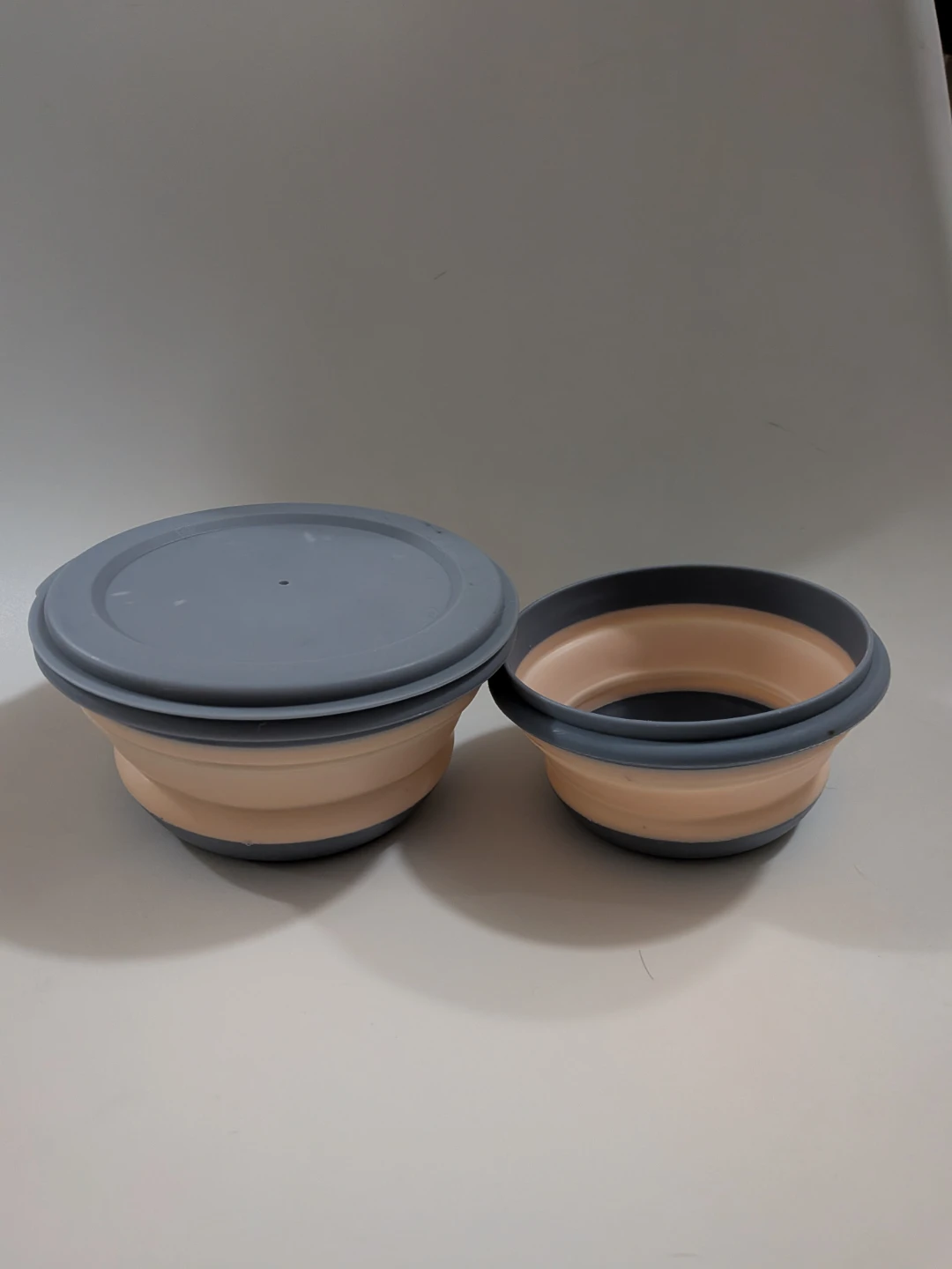 Collapsible Food Bowls with Lid 🌱