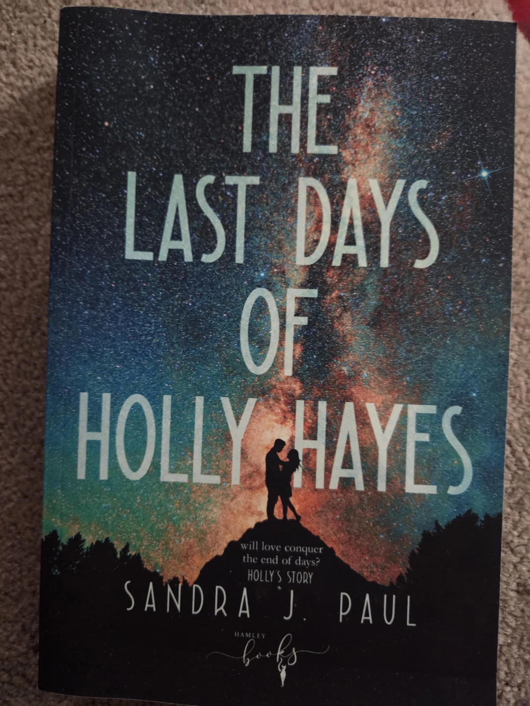 The Last Days of Holly Hayes by Sandra J. Paul