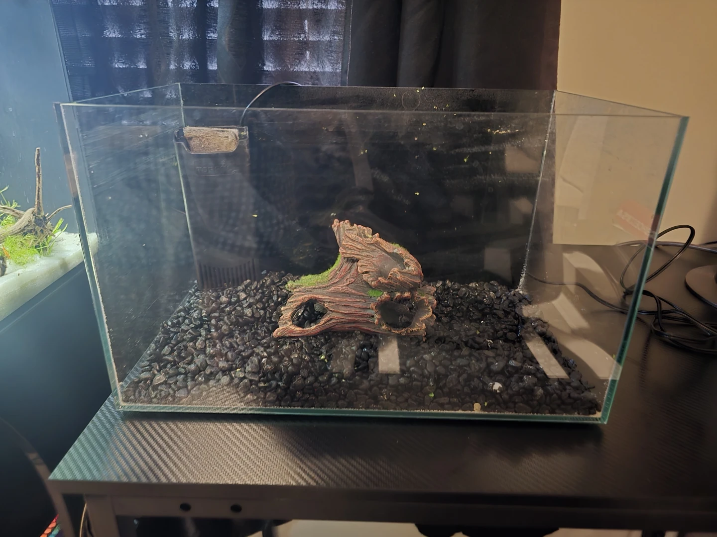 Rimless Aquarium Tank with Filter and Decorations