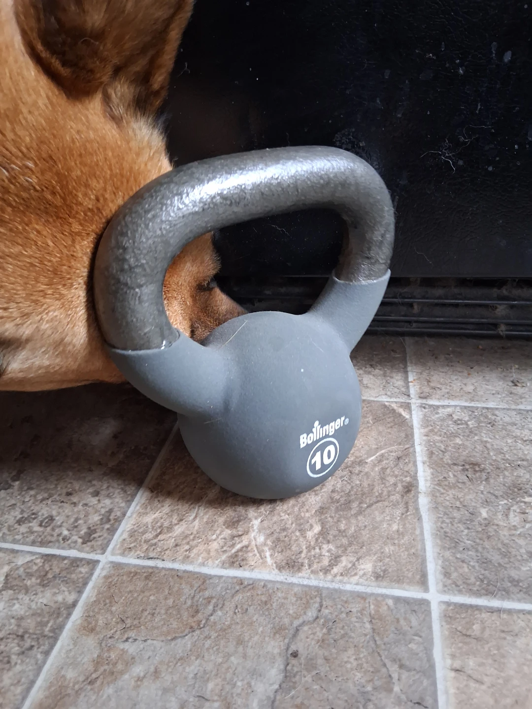 Bofinger 10lb Kettlebell