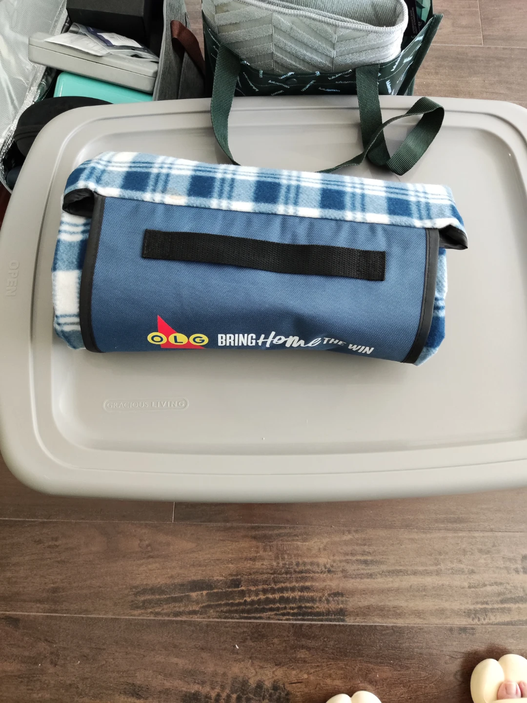 Blue Plaid Picnic Blanket