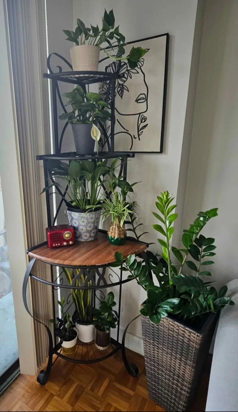 Black Metal Corner Plant Shelf