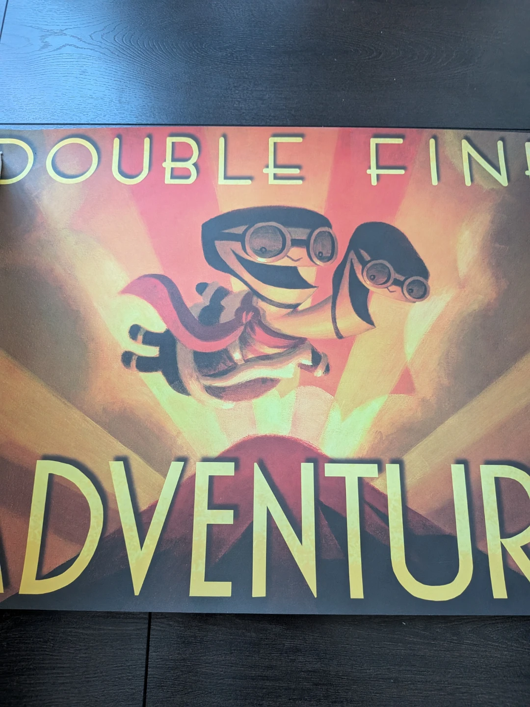 Double Fin Adventure Poster