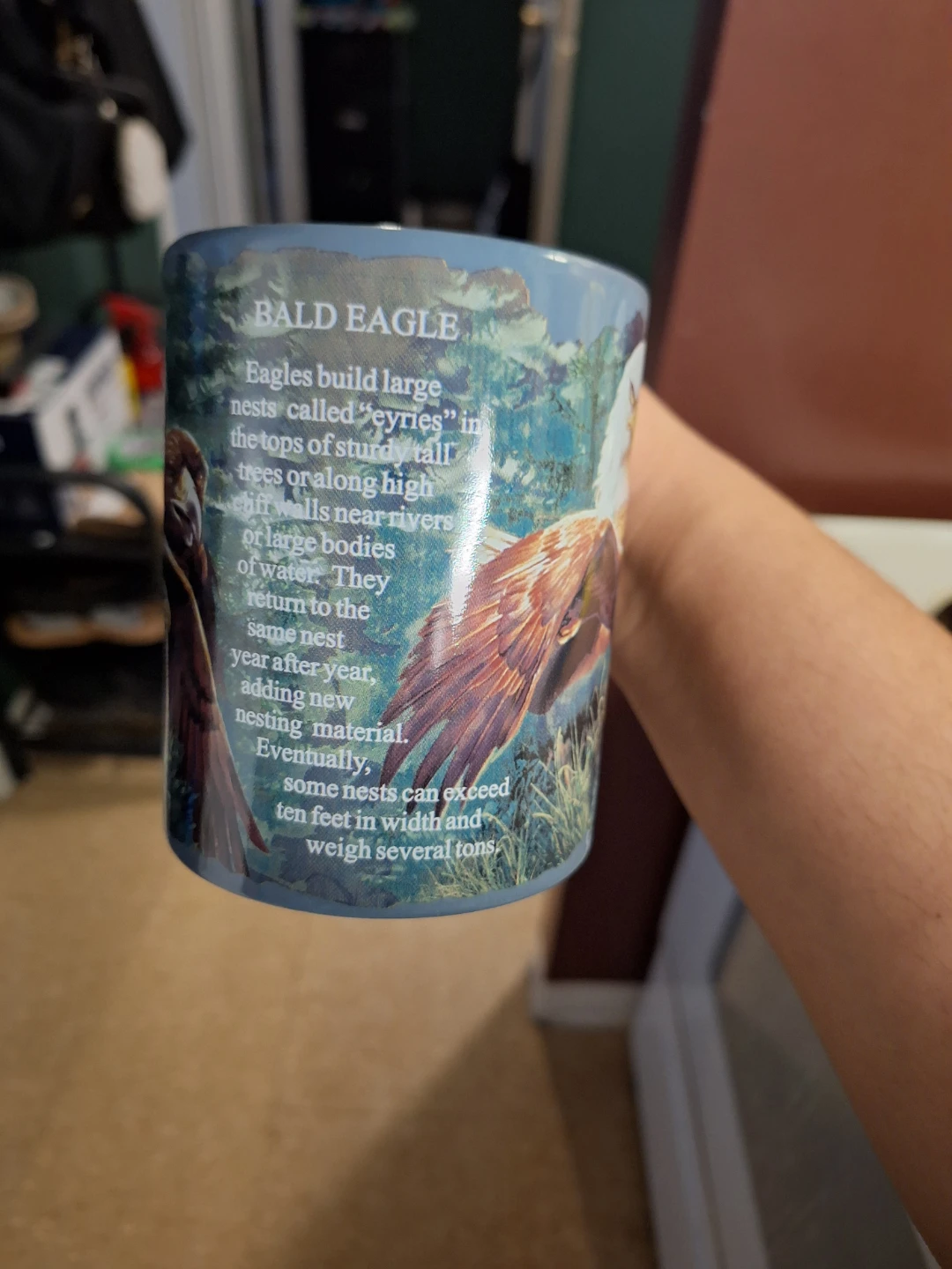 Canada Into The Wild Bald Eagle Mug - photo 2