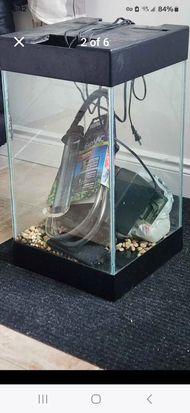 20 Gallon Aquarium Kit