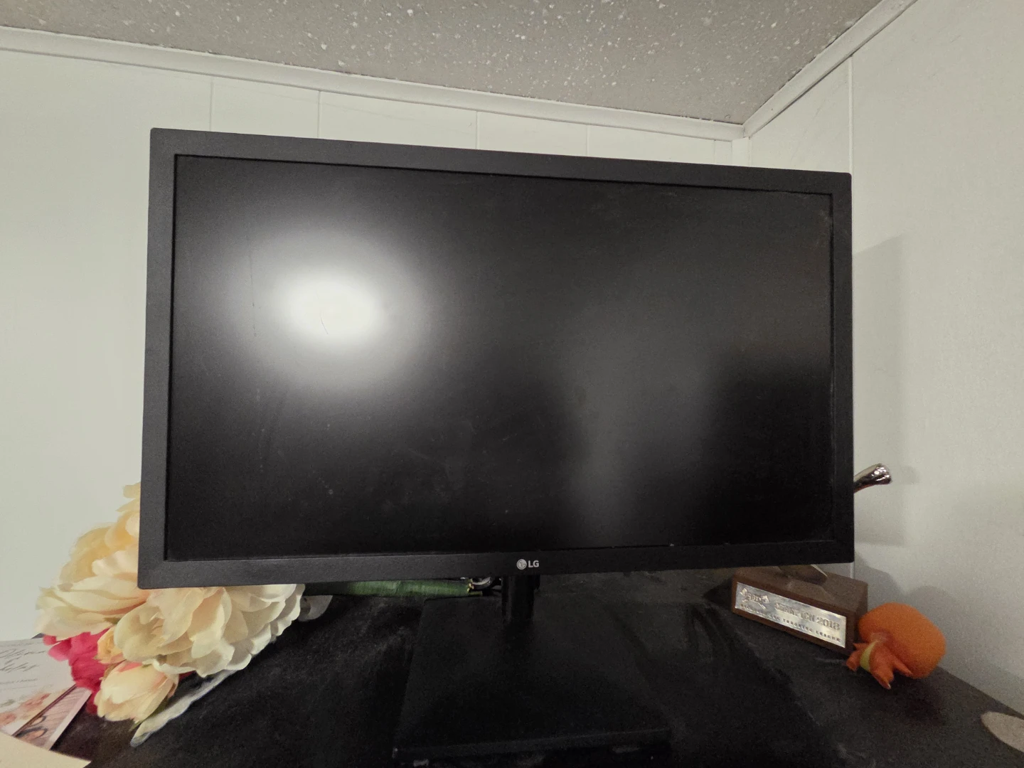 LG 24-inch LCD Monitor