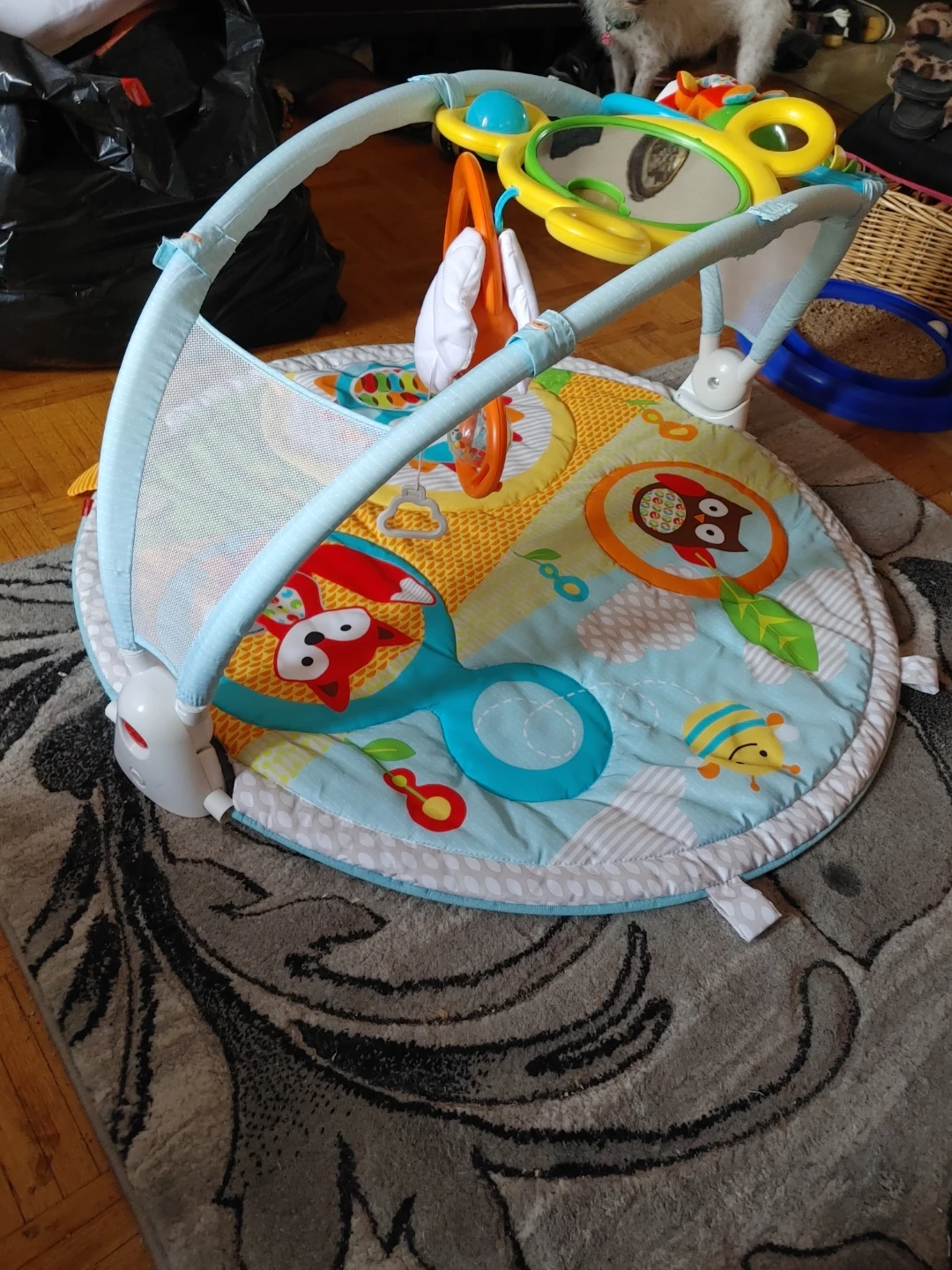 Skip Hop Explore & More Amazing Arch Activity Gym