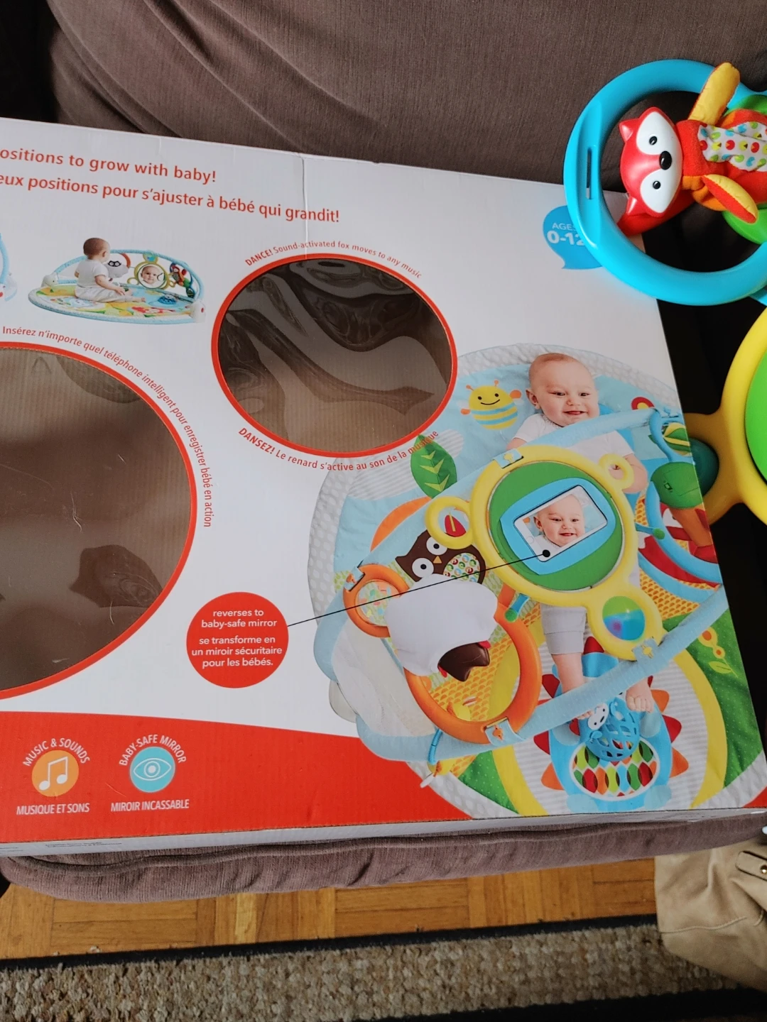 Skip Hop Explore & More Amazing Arch Activity Gym - photo 5